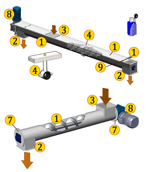 Illustrazione-COCLEE